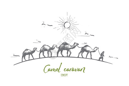 摩洛哥沙漠骆驼商队的概念 手绘孤立的矢量沙丘哺乳动物动物晴天旅行天空插图游客铅笔沙漠插画