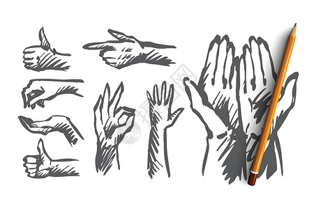 手掌人类手指手势概念 手绘孤立的矢量商业帮助友谊白色黑色警告鱼际危险成人拇指插画