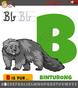字母表中的字母 B 与卡通熊狸动物高清图片