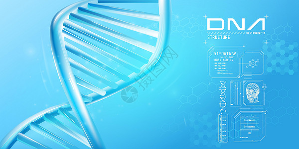 双螺旋脱氧核糖核酸分解基因组研究药品核酸染色体蓝色技术卫生工程科学背景图片