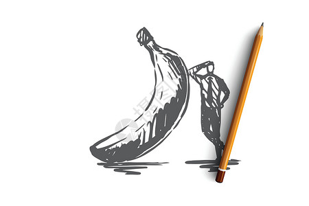 香蕉食品水果新鲜有机概念 手绘孤立的矢量甜点标签美食海报草图饮食菜单小吃热带插图背景图片