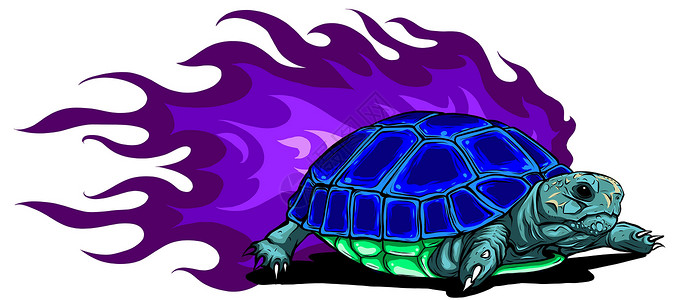 赫尔曼陆龟在白色背景上的矢量缅甸星龟插画