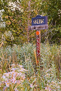 路牌靠近路牌 塞入一片大红绿植物背景图片