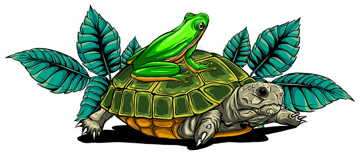 青蛙动画素材青蛙和乌龟矢量图图形 ar快乐卡通片爬虫艺术动物跑步蟾蜍童年动物园剪贴簿插画