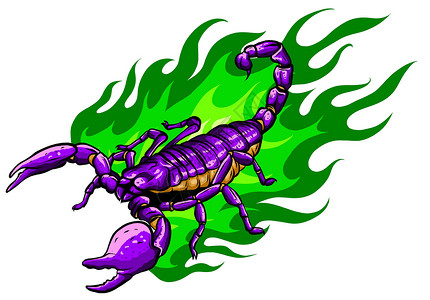 紫色的蝎子逼真的蝎子卡通与火焰矢量它制作图案插画