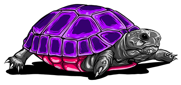 棱乌龟矢量图标 在白色背景乌龟上孤立的卡通矢量图标插图染色绘画游泳两栖海洋动物土地甲壳海洋馆插画