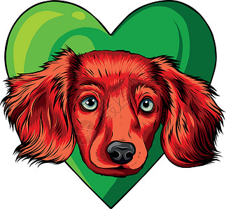 心矢量图中的小狗头狗艺术快乐卡片问候语宠物朋友耳朵卡通片打印猎犬背景图片