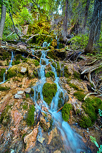 瀑布在地貌森林景点的岩石和苔上流水背景图片