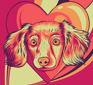 心矢量图中的小狗头狗插图力量卡片哺乳动物耳朵猎犬艺术配种打印卡通片背景图片