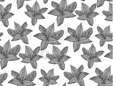 黑色和白色的花卉矢量背景 用于纺织品设计的线性百合花线无缝图案 矢量无缝黑白花卉图案艺术树叶打印漩涡热带紫荆花植物花瓣滚动百合背景图片