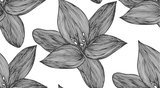 黑色和白色的花卉矢量背景 用于纺织品设计的线性百合花线无缝图案 矢量无缝黑白花卉图案花瓣植物邀请函木槿滚动标题绘画热带艺术繁荣背景图片