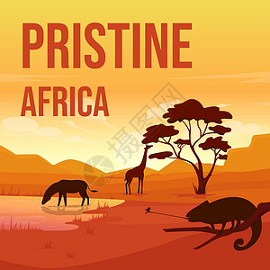 保护濒危动物非洲沙雕野生动物保护社交媒体帖子模拟卡通片博客正方形荒野大草原插图搞笑风景国家动物群插画