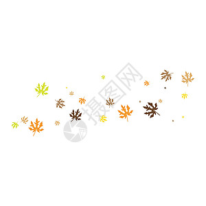 夏季秋季标志模板橡木海报植物艺术感恩橙子销售插图刻字标签背景图片