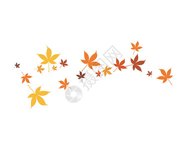 白杨秋叶背景白色黄色橡木树叶森林插图红色金子叶子飞行插画