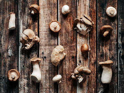 多种蘑菇组合顶视图 不同类型蘑菇的型式背景