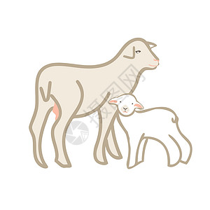 穆巴拉克绵羊与羊肉羊毛涂鸦母羊农场婴儿农家家畜草图动物哺乳动物插画