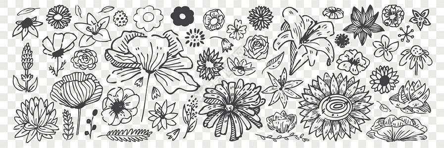 花园风信子手绘花涂鸦集设计图片