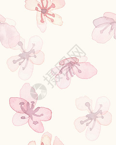 韩国樱花樱花图案 水彩樱桃叶 无缝钢管插画