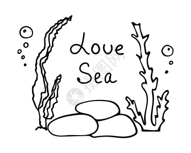 海藻特写藻类气泡和石头的特写镜头 刻字爱海 涂鸦风格的矢量图解设计图片