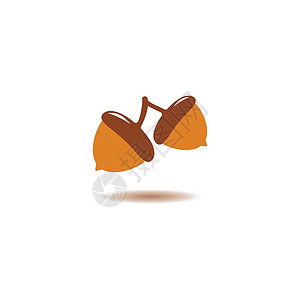 干果炒货松子橡子徽标图案季节坚果干果松子橡木松鼠植物收成叶子水果插画