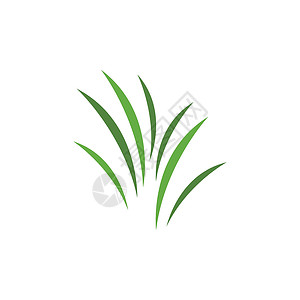 草标志 vecto芦荟商业插图叶子生态生长温泉治疗花园植物背景图片
