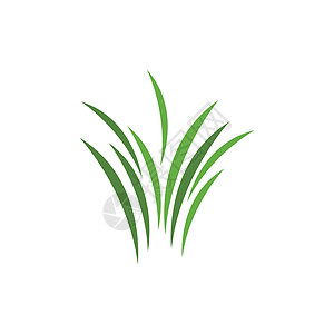 草标志 vecto环境商业植物芦荟生态温泉花园叶子生长治疗背景图片