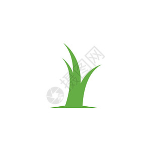 草标志 vecto温泉环境植物芦荟生长插图叶子生态花园商业背景图片