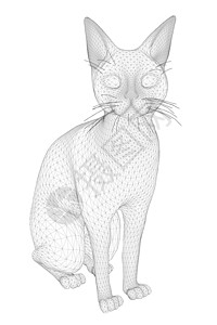 线条猫坐在白色背景上孤立的黑色线条的猫线框  3D 它制作图案矢量设计图片