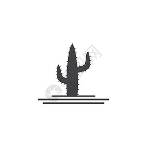 仙人掌标志模板植物咖啡店商业品牌植物学沙漠生长标识插图植物群背景图片