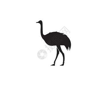 奔跑的鸵鸟鸵鸟标志 vecto蓝色情调动物园农场异国羽毛跑步环境草图艺术插画