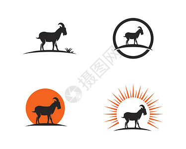 老山羊它制作图案山羊 Logo 模板矢量图标白色绿色标签荒野标识黑色牛奶农场插图动物插画