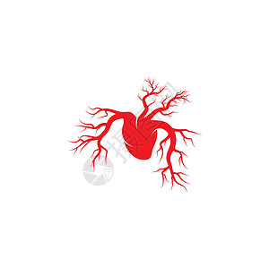 血同脉人类的心脏它制作图案静脉解剖学有氧运动器官插图心血管科学药品心室肌肉插画