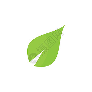 绿叶生态自然元素 vecto 的标志装饰品生活叶子商业植物环境收藏热带美丽公司背景图片