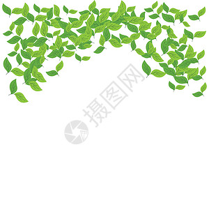 装潢公司画册离开背景背景植物环境叶子草本植物艺术生态树叶公司商业标识插画