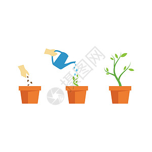 植物生命过程植物学动画片叶子园艺农业图表生长进步幼苗绿色背景图片