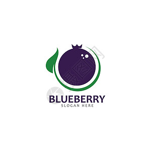 蓝莓黑加仑它制作图案蓝莓标志矢量模板图标花园插图食物标识饮食艺术水果叶子菜单蓝色插画