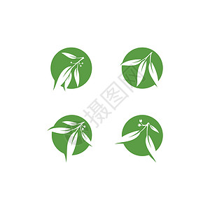 油润的绿叶桉树叶花卉标志矢量模板传统文化草药桉树植物群防腐剂叶子植物药品绿叶插画