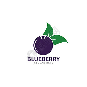 蓝莓黑加仑它制作图案蓝莓标志矢量模板图标果园网络标识叶子饮食菜单花园水果艺术收藏插画