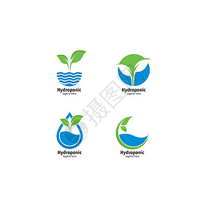 法图标水培标志矢量图标它制作图案环境技术农业水电商业养分生长植物插图生态插画