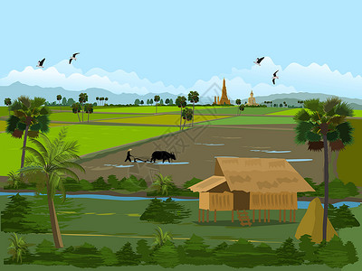 鱼网泰国的稻田 绿色田野中的农舍 农民耕种糖棕树稻田山佛寺和天空为背景插画