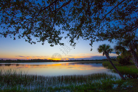 佛罗里达州皮尔斯堡保护区公园日落池塘背景图片