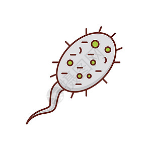 受精生殖胚珠药品插图男性怀孕排卵渗透生物学遗传背景图片
