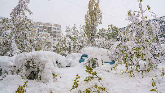 4月在摩尔多瓦基希讷乌(Chisinau)大雪高清图片