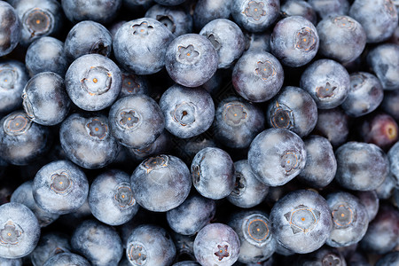 新鲜蓝莓背景 质地蓝莓果合起来水果市场蓝色营养饮食收成采摘覆盆子食物浆果背景图片