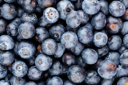 新鲜蓝莓背景 质地蓝莓果合起来采摘收成营养饮食市场食物蓝色浆果水果覆盆子背景图片