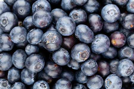 新鲜蓝莓背景 质地蓝莓果合起来蓝色市场浆果覆盆子采摘饮食收成水果营养食物背景图片