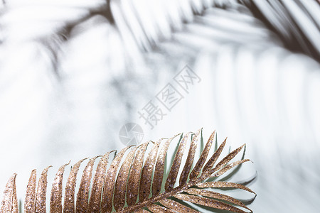 棕榈金叶和蓝墙背景的阴影蕨类梦幻叶子金子反射植物效果植物学分支背景图片