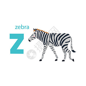 斑马孩子可爱的斑马卡 与动物的字母表 色彩缤纷的设计 用于教孩子们字母表学习英语 白色背景上平面卡通风格的矢量插图设计图片