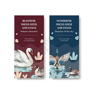 天鹅伴侣带有鸭子和天鹅概念的传单模板 水彩风格移民插图游泳婚礼水禽手绘保真度营销生活羽毛插画