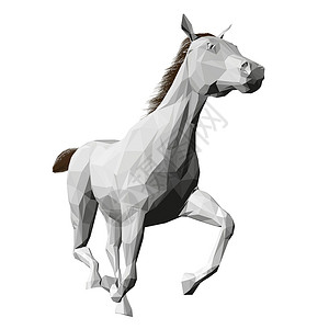 保利马奥里从白色背景中分离出来的低聚白色奔马模型 正视图  3D 它制作图案矢量插画